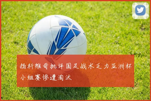 扬科维奇批评国足战术乏力亚洲杯小组赛惨遭淘汰