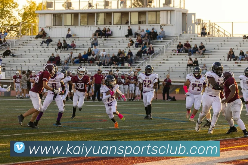 开元体育APP 封面图